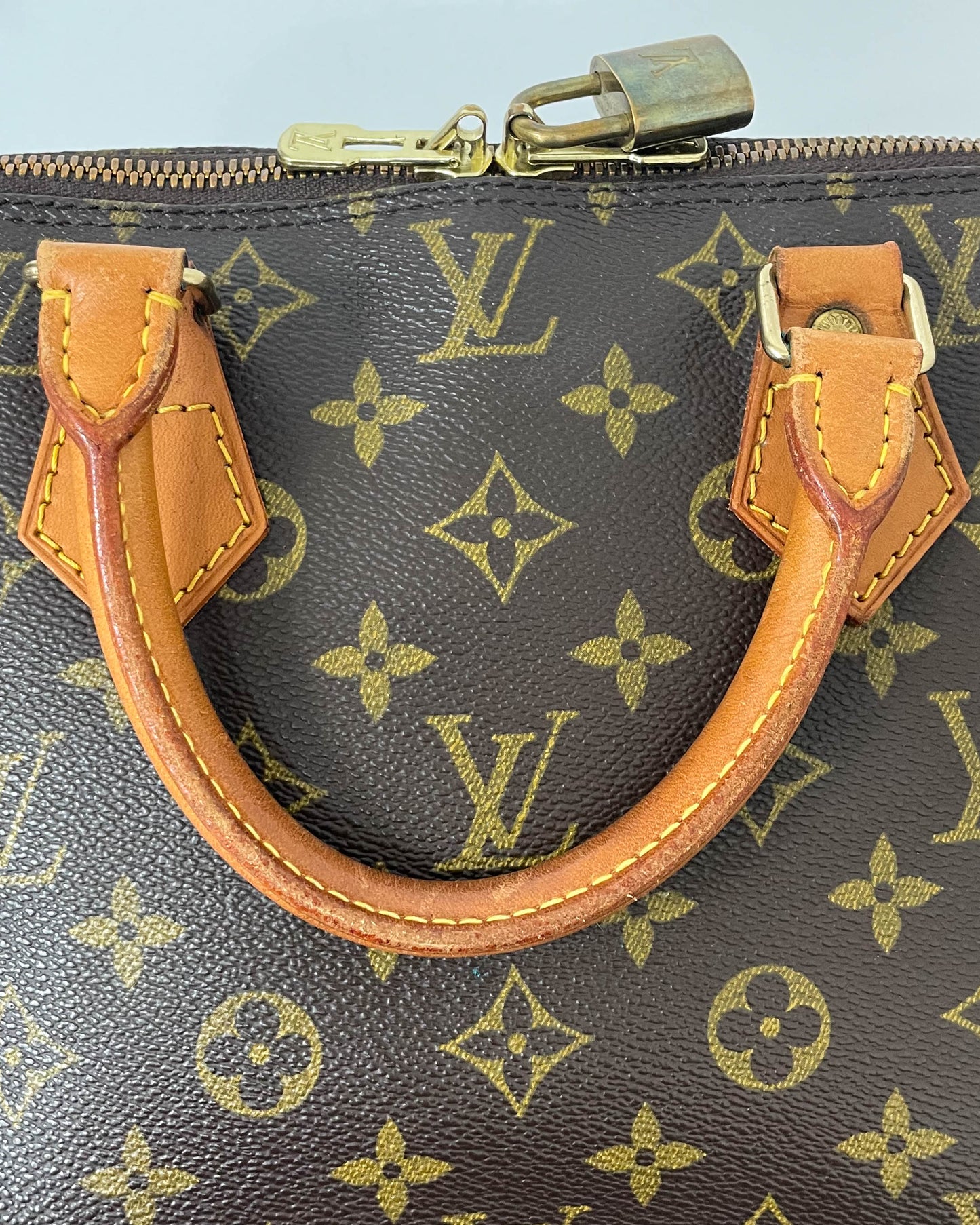 Louis Vuitton Alma PM