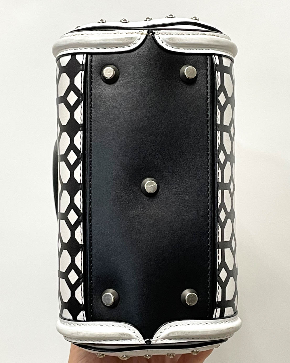 Alexander McQueen Heroine Crossbody Bag