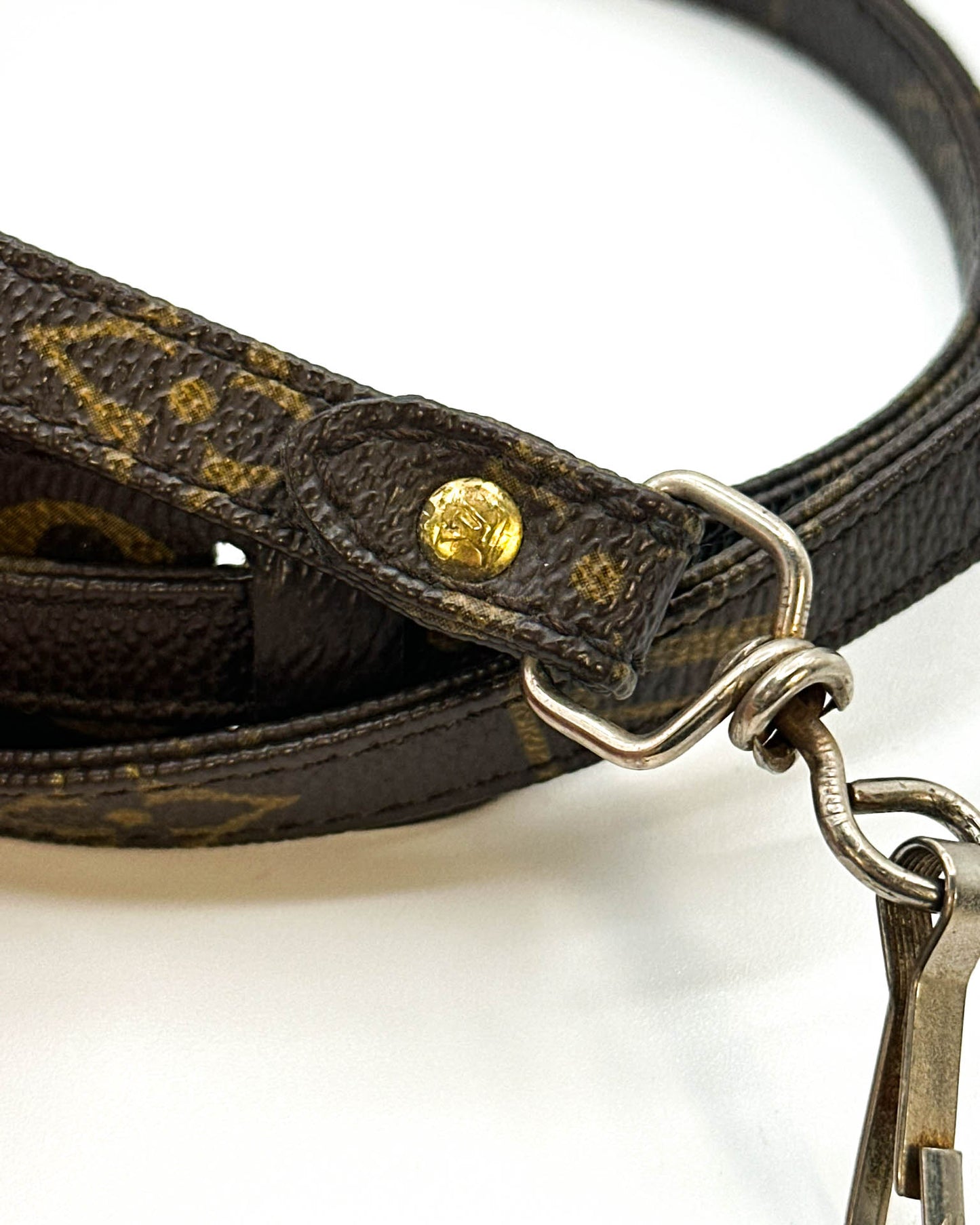 Louis Vuitton Bag Strap