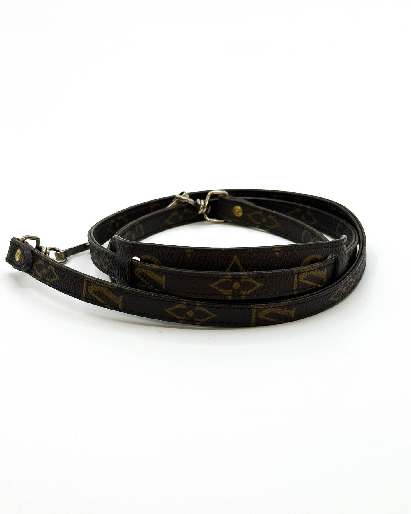 Louis Vuitton Bag Strap