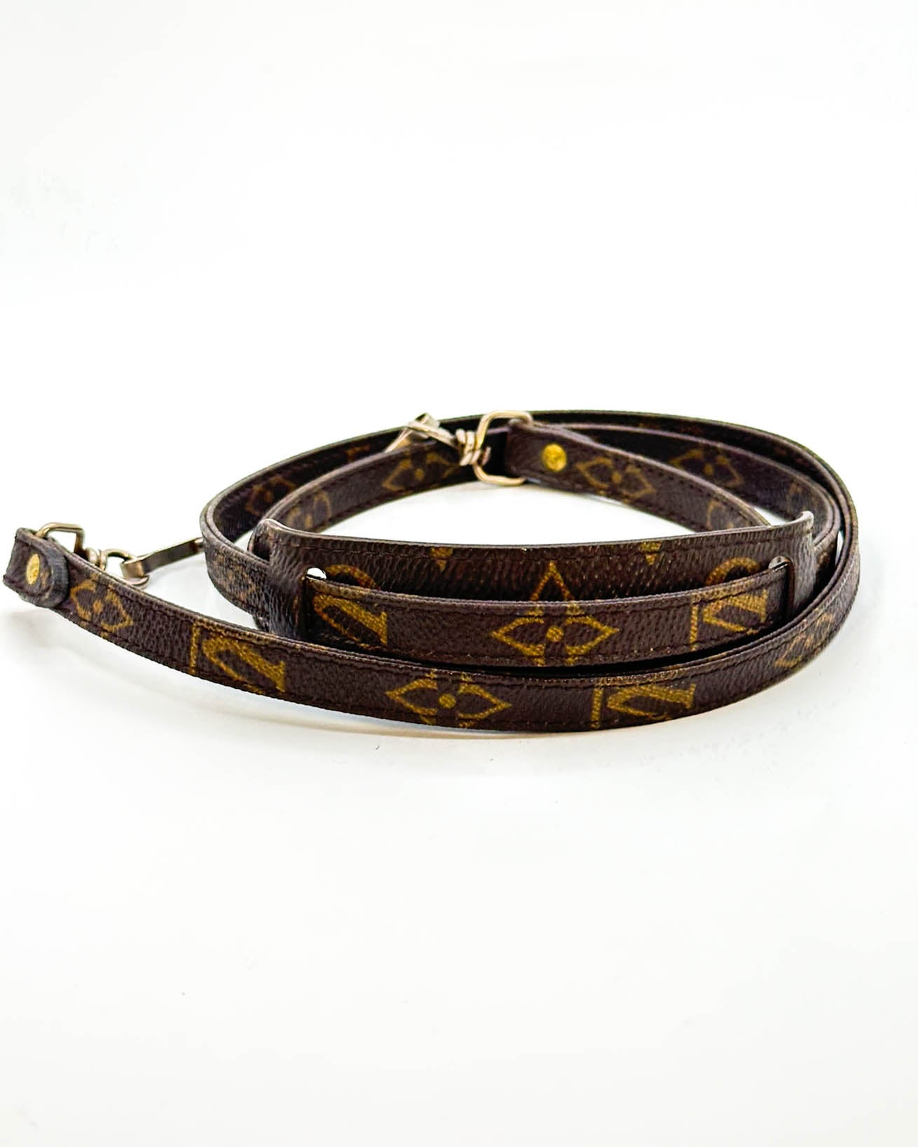 Louis Vuitton Bag Strap